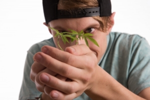 大麻 持つ