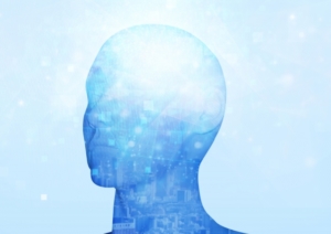 人体
