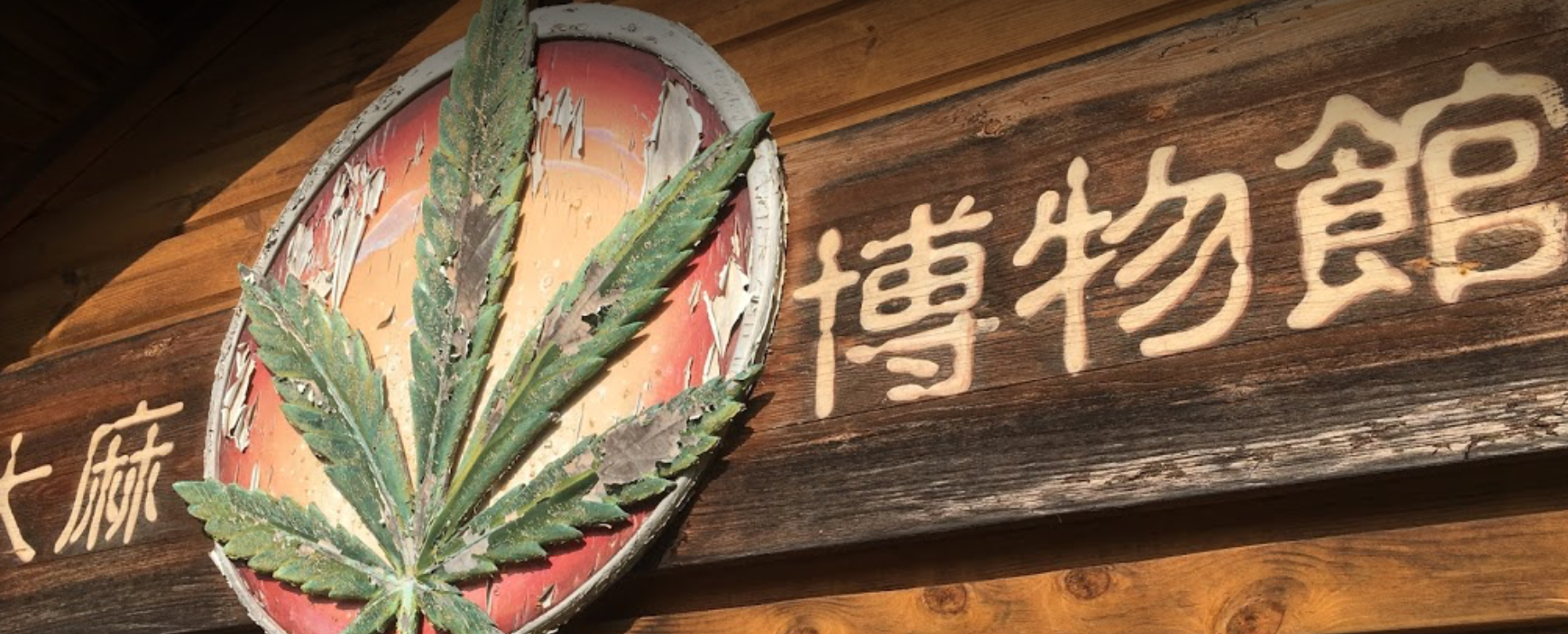 大麻博物館 ロゴ