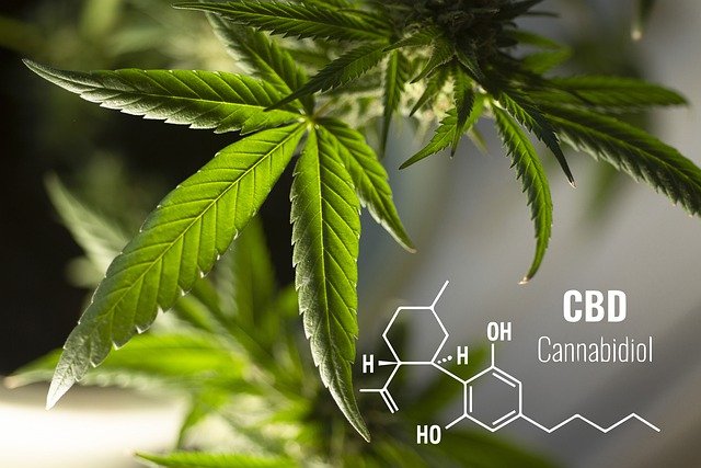 CBD効果表現