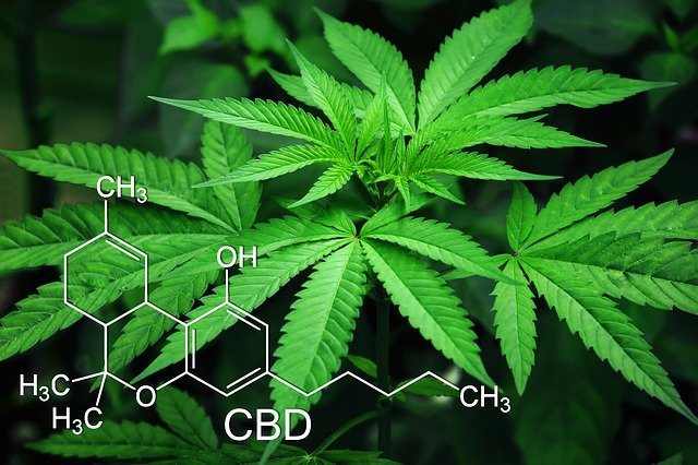 CBD分析